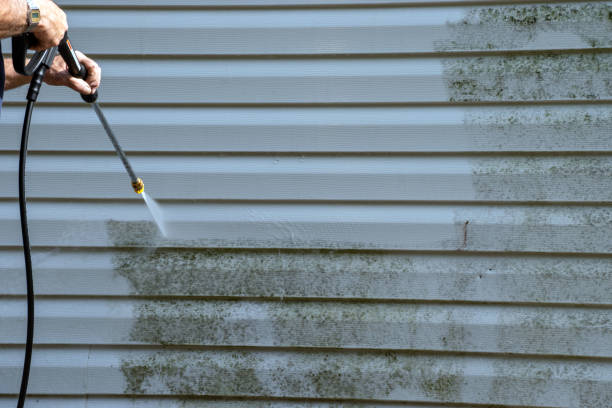 Best Hoarding Cleanup  in Uniondale, NY